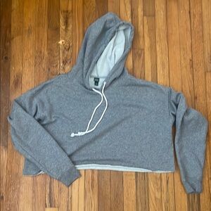 Wild Fable Gray Cropped Hoodie